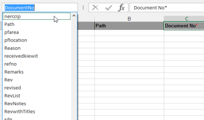 XL upload to find names of custom fields