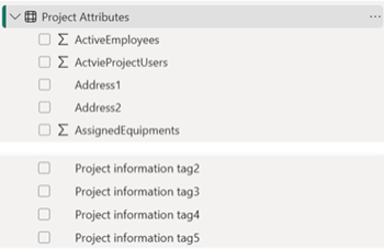Shows examples of Project Information tags