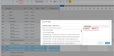 Copy and paste SIP steps