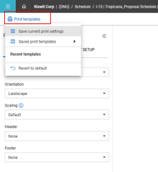 Print settings templates